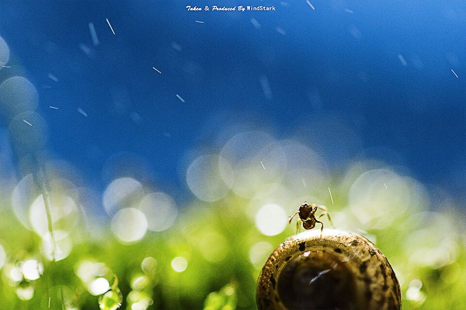 2：呜呜，下雨了~呜呜呜，我没带伞啊，好冷啊~！我要回家~！！！<br />
<br />
