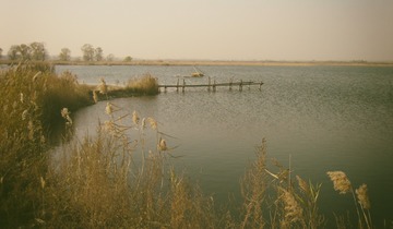 IMG_1377 拷贝