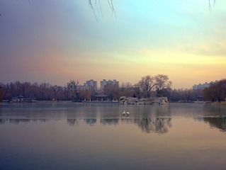 IMG_E1143