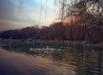 F7105391-8F51-451A-B50A-E9DE441DED53