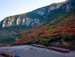 DSC_E2288
