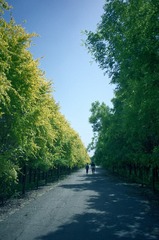 91742BF7-B754-43D3-96CE-6F8ED89B8B11/L0/001