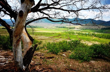 DSC_0577a
