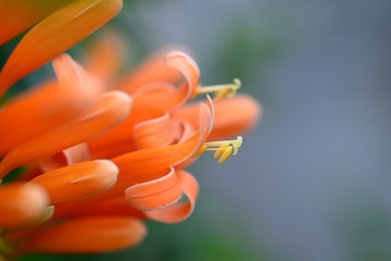 1020816