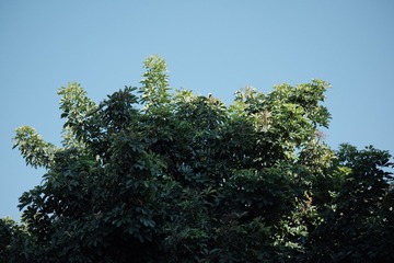 1000018226