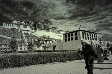 DSC_9329_HZP.jpg