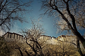 DSC_9349_HZP.jpg