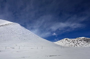 DSC_9408.jpg