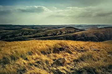 DSC_9677_HZP.jpg