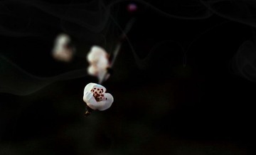 “DSC_0421”为智能对象-1_HZP.jpg