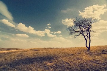 155_HZP.jpg