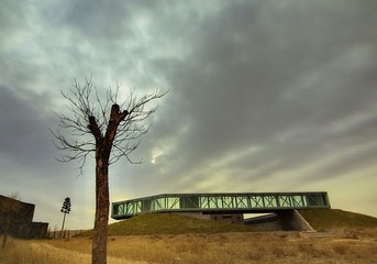 DSC_10988.jpg