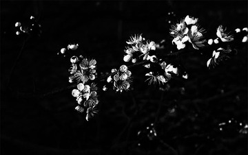 “DSC_1706”为智能对象-1.jpg
