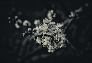 “DSC_1708”为智能对象-1.jpg