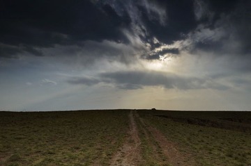 DSC_19099.jpg