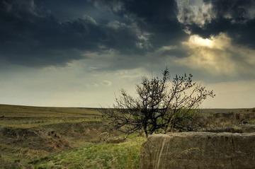 DSC_189777.jpg