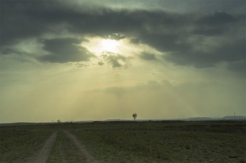 “DSC_1931”为智能对象-1.jpg