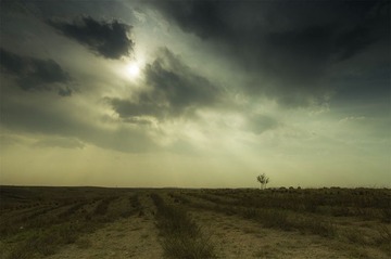 “DSC_1869”为智能对象-1.jpg