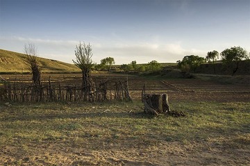 “_DSC3225”为智能对象-1.jpg