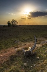 “DSC_2505”为智能对象-12.jpg