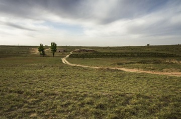 500.jpg