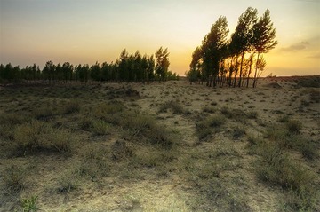 “DSC_2543”为智能对象-1.jpg