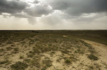 8500.jpg