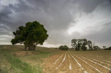 8600.jpg