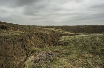 “_DSC4278”为智能对象-10.jpg