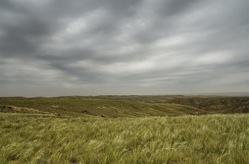 “_DSC4285”为智能对象-1.jpg