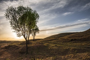 “_DSC4482”为智能对象-1.jpg