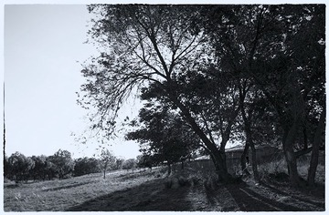 “_DSC4448”为智能对象-1.jpg