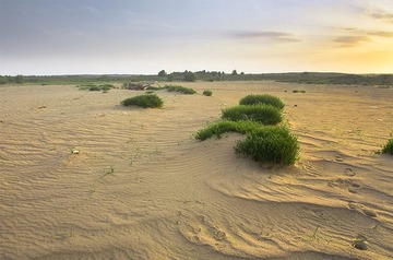 “_DSC4762”为智能对象-101.jpg