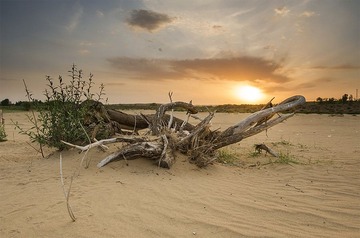 “_DSC4783”为智能对象-100.jpg