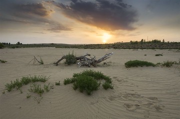 “_DSC4790”为智能对象-10.jpg