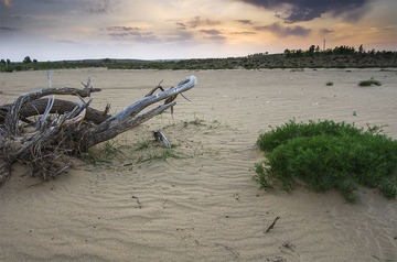 “_DSC4804”为智能对象-1.jpg