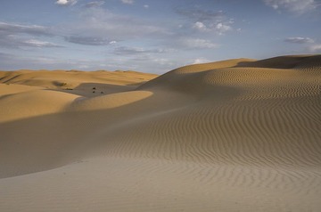 _DSC5534.jpg