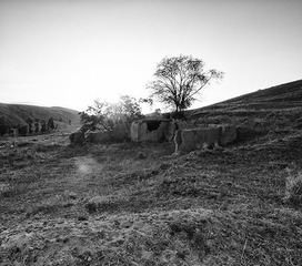 DSC_5799.jpg
