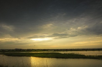 001.jpg