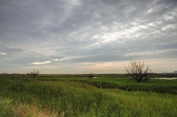 DSC_59032.jpg