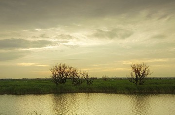 DSC_59300.jpg