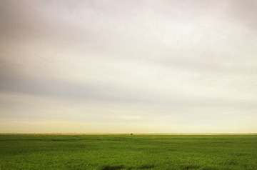 DSC_58990.jpg