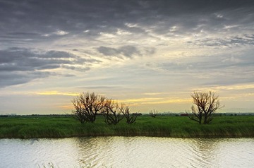 DSC_59360001.jpg