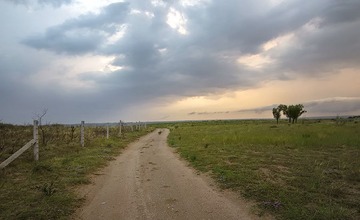 _DSC64033.jpg
