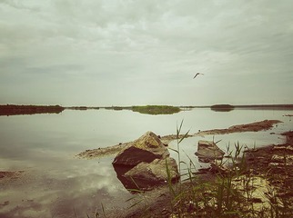 _DSC65361_Snapseed.jpg