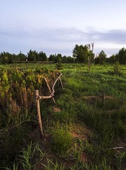 _DSC7054.jpg