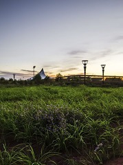 _DSC70481.jpg