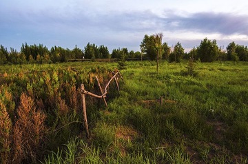 _DSC7053.jpg