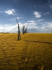 _DSC7111.jpg