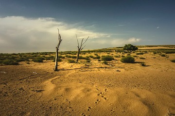 _DSC7120_HZP1.jpg